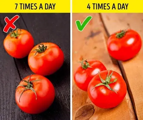 11 Việc Có Hại Hàng Ngày Chúng Ta Vẫn Làm Mà Không Nhận Thức Ra