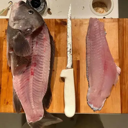 Điều gì tạo nên một con dao phi lê tốt để đi săn và câu cá?